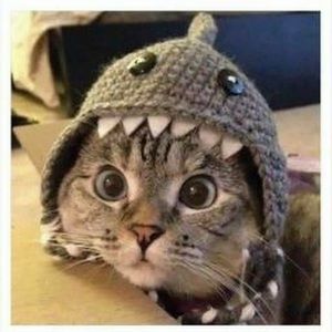 Meet your Posher, Tiffiny